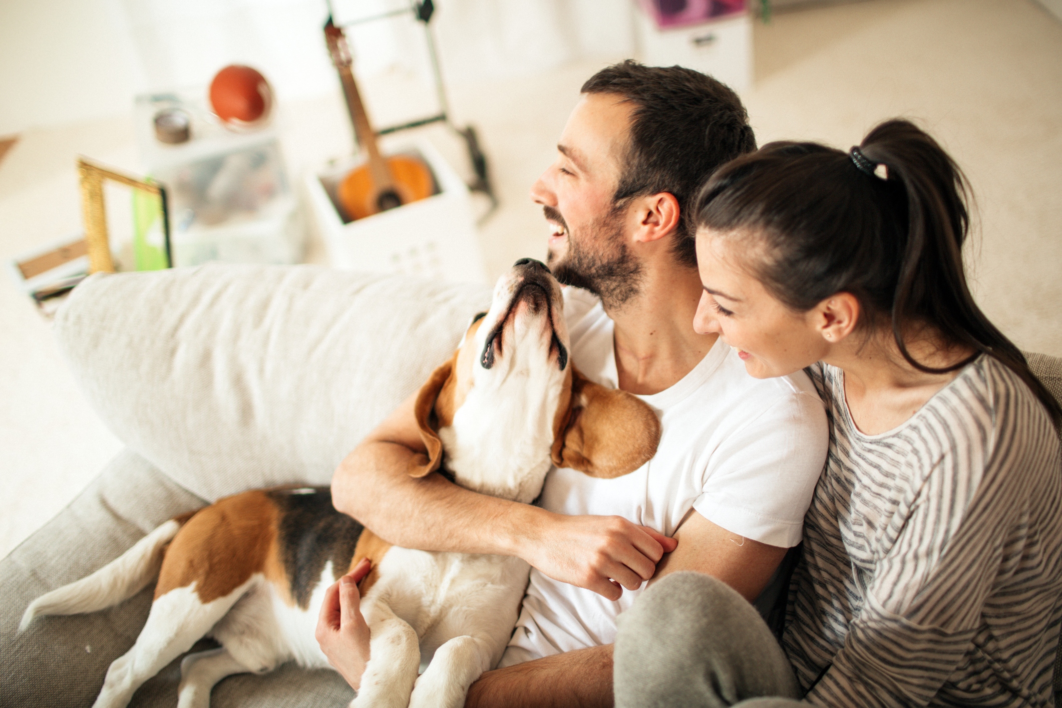 Haustiere in Mietwohnungen: Was ist erlaubt, was nicht? Paar mit Hund auf Couch.