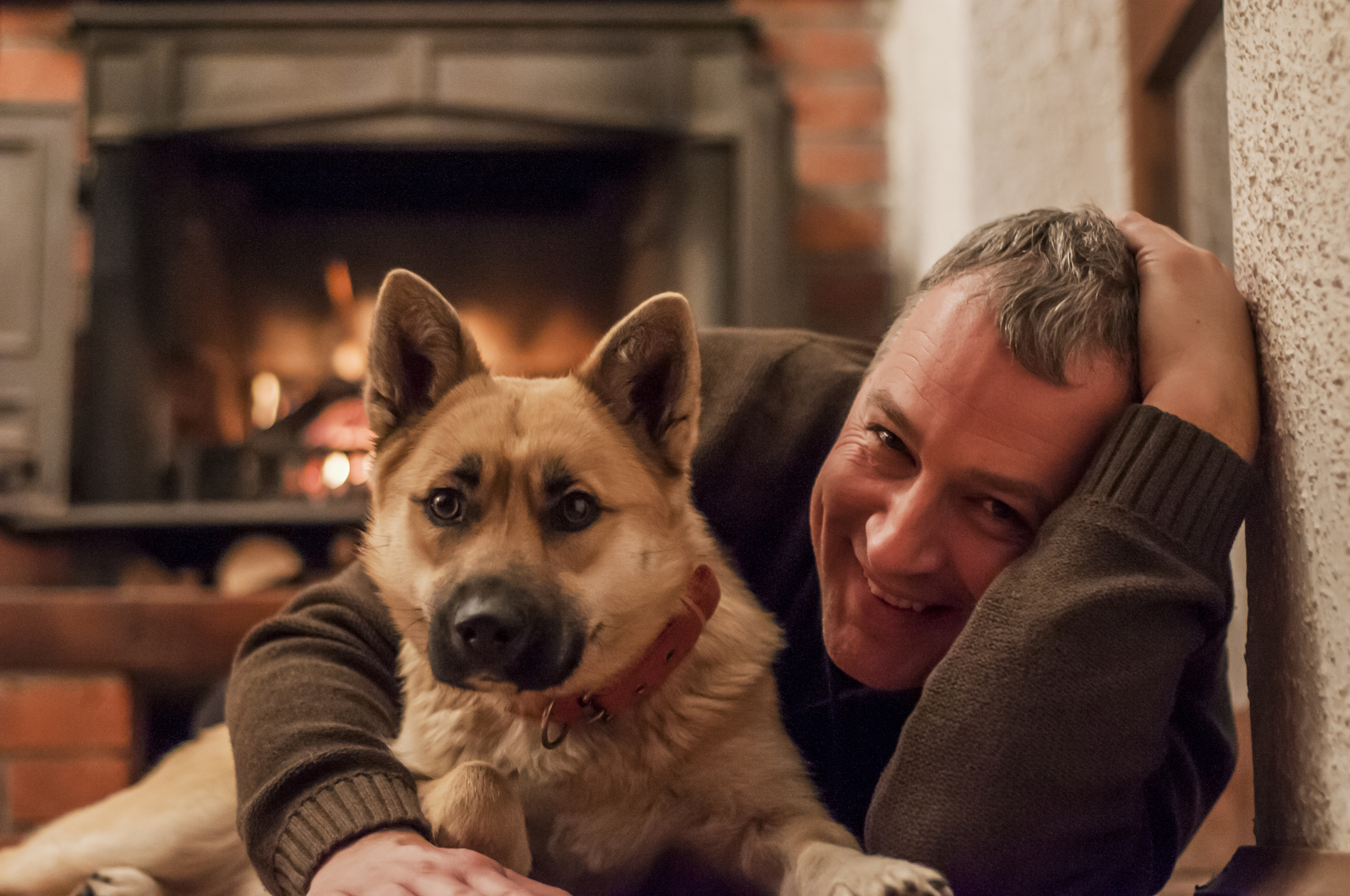 Schäferhundwelpe und Mann liegen vor dem Kamin Schäferhundwelpe und Mann liegen vor dem Kamin