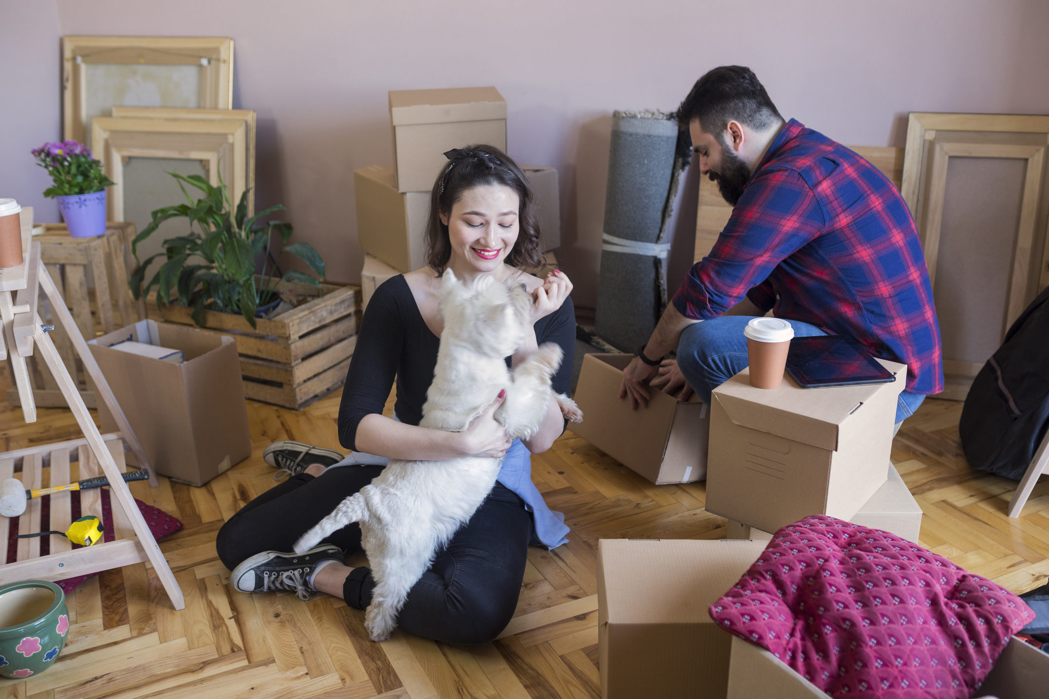 Junges Paar ist gerade frisch eingezogen und spielt mit Hund Junges Paar ist gerade frisch eingezogen und spielt mit Hund