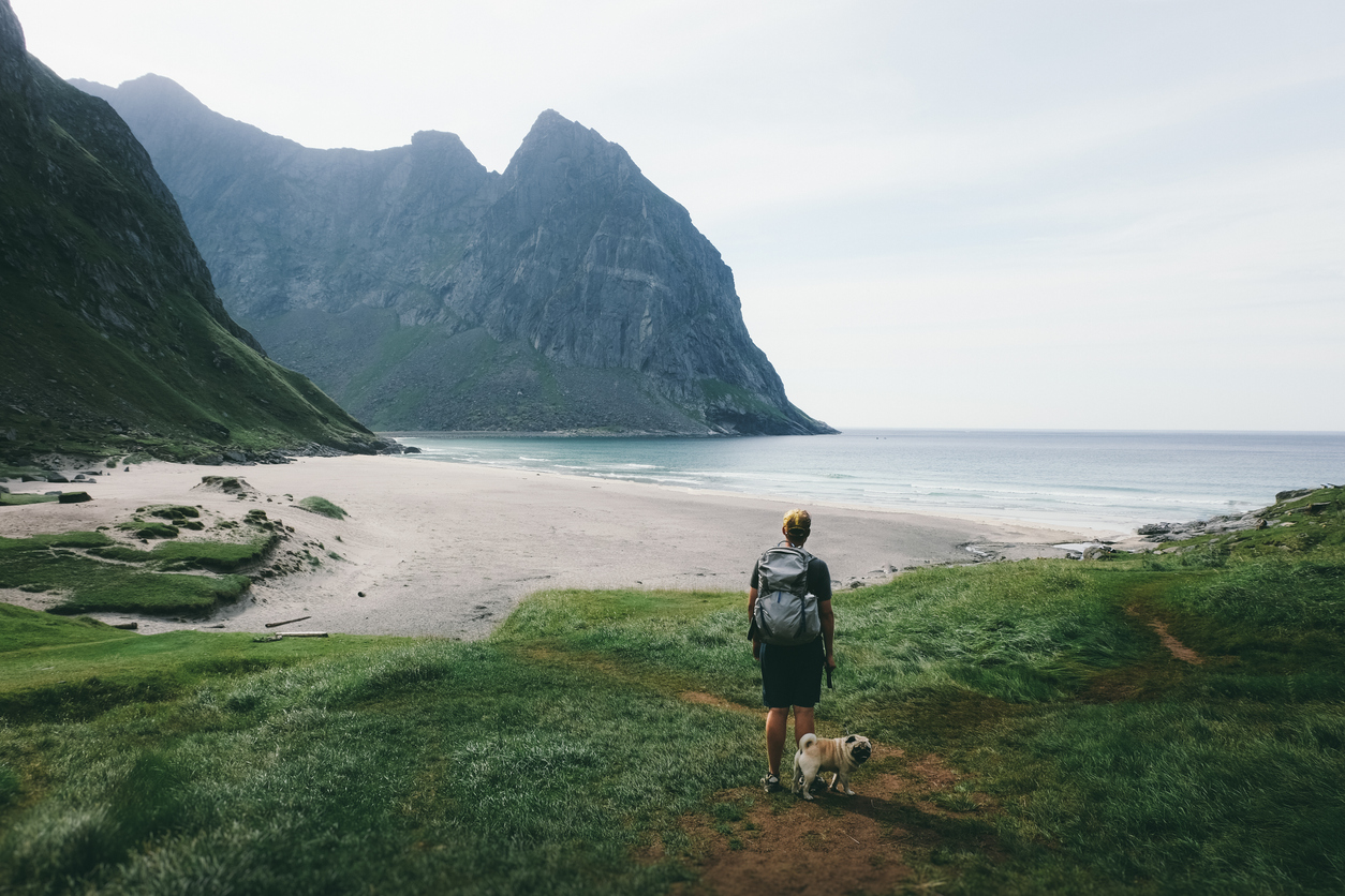 Polarleuchten, raue Fjorde: Auswandern nach Norwegen Auswandern nach Norwegen mit Haustier