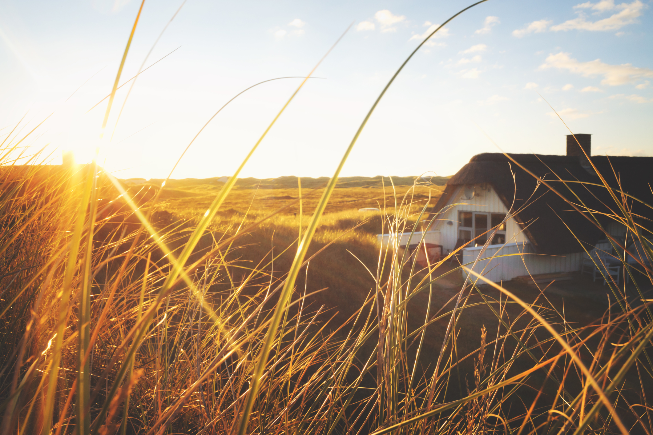 Reetdachhaus in den Dünen