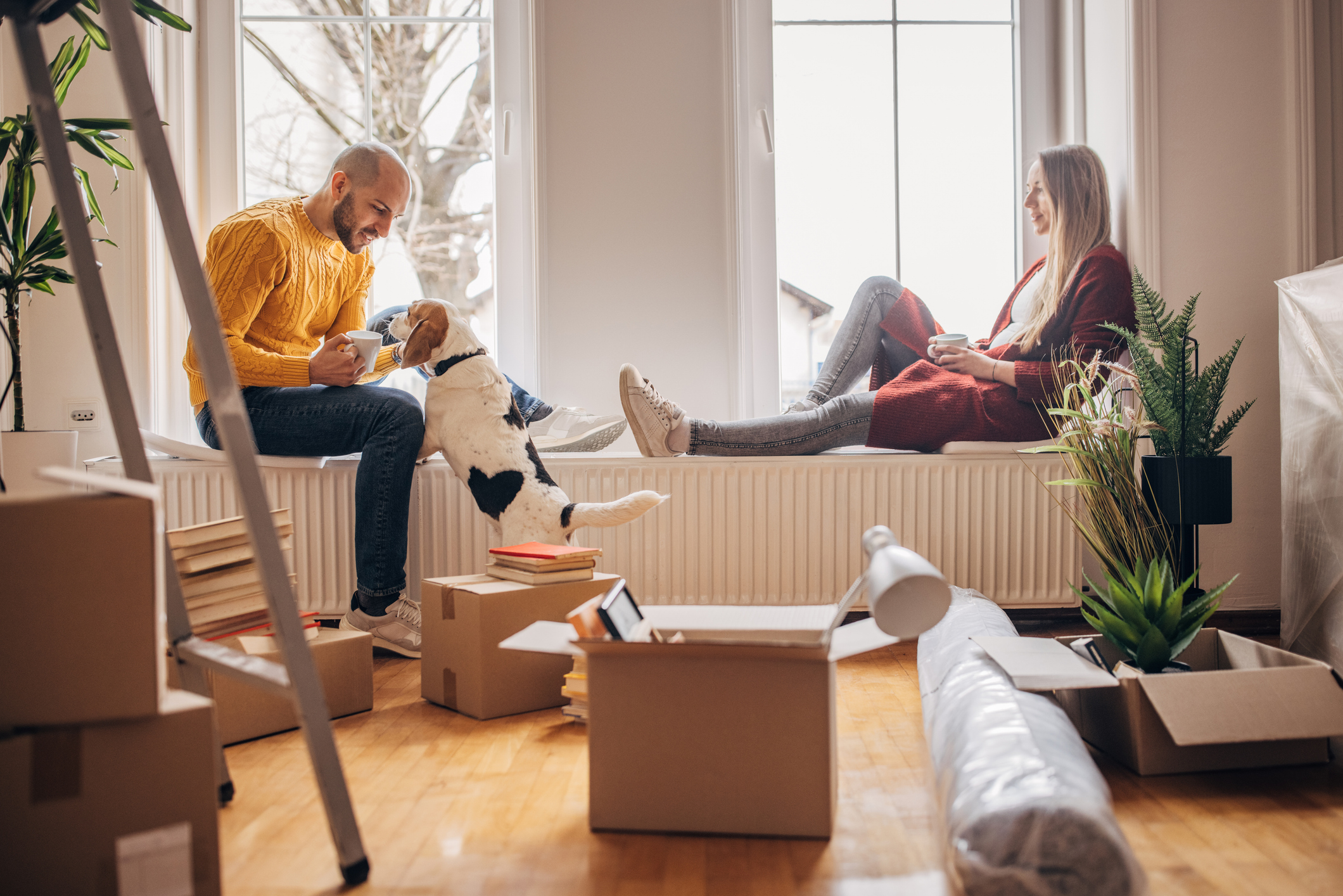 Mann, Frau und Hund inmitten Umzugskartons in heller Wohnung.