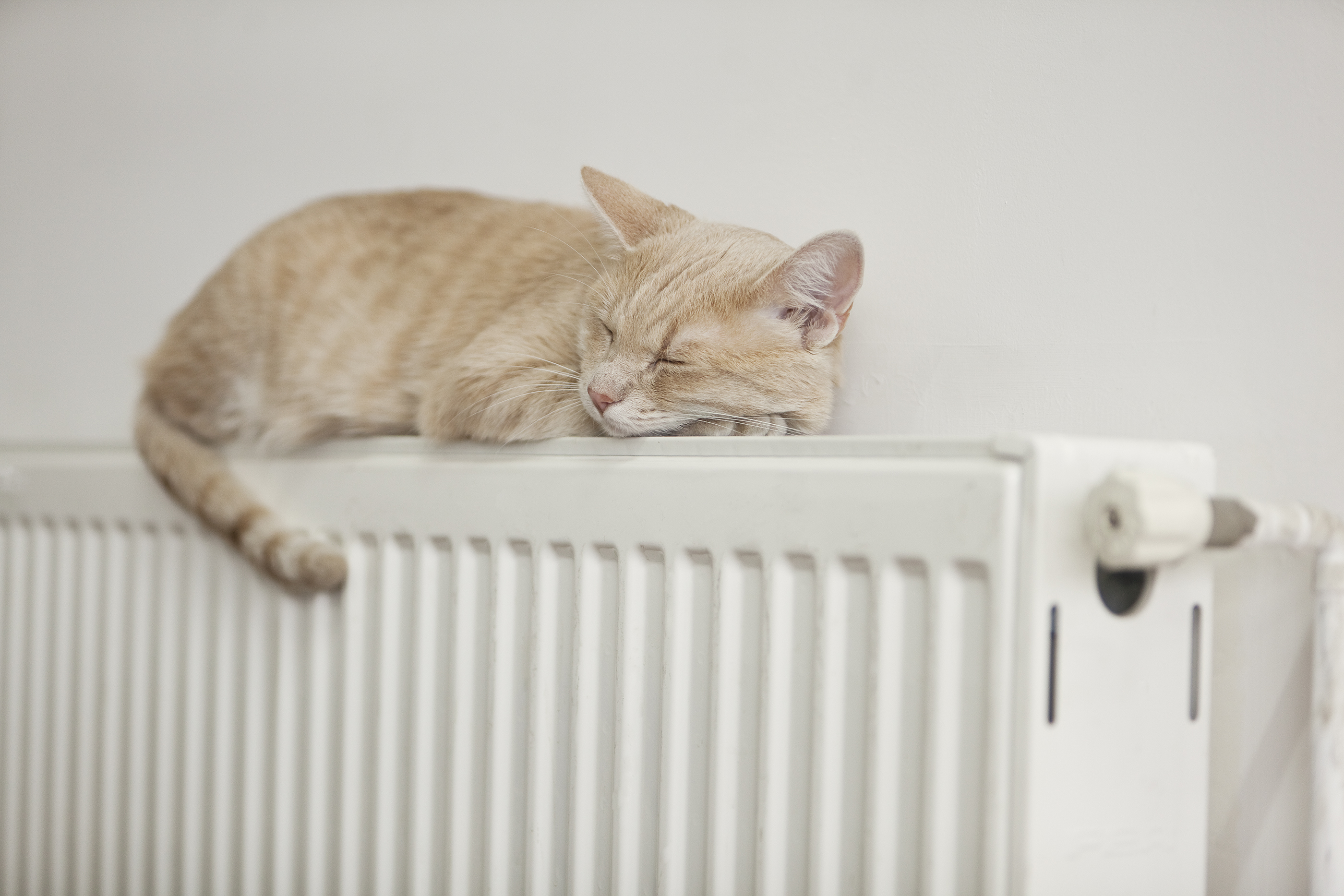 Abkürzungen bei Wohnungen: Von AB wie Altbau bis ZH wie ...? Kuschelig warm soll es in der neuen Wohnung sein. Damit das ohne Ärger klappt, ist es gut, wenn Sie schon vorher wissen, welchen Heizungstyp Sie haben.