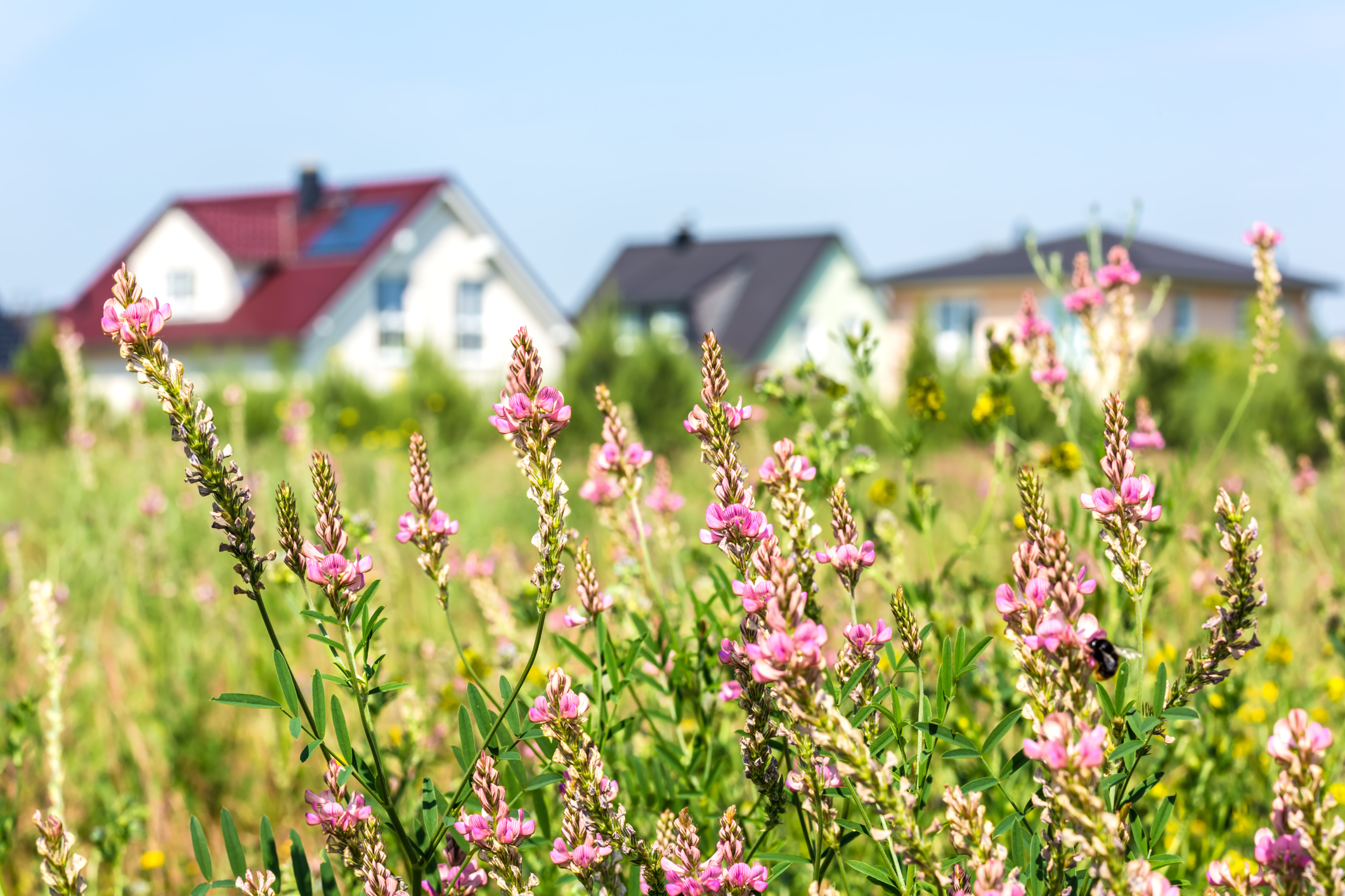 Von der Stadt aufs Land ziehen: Das sollten Städter beachten Haus auf dem Land