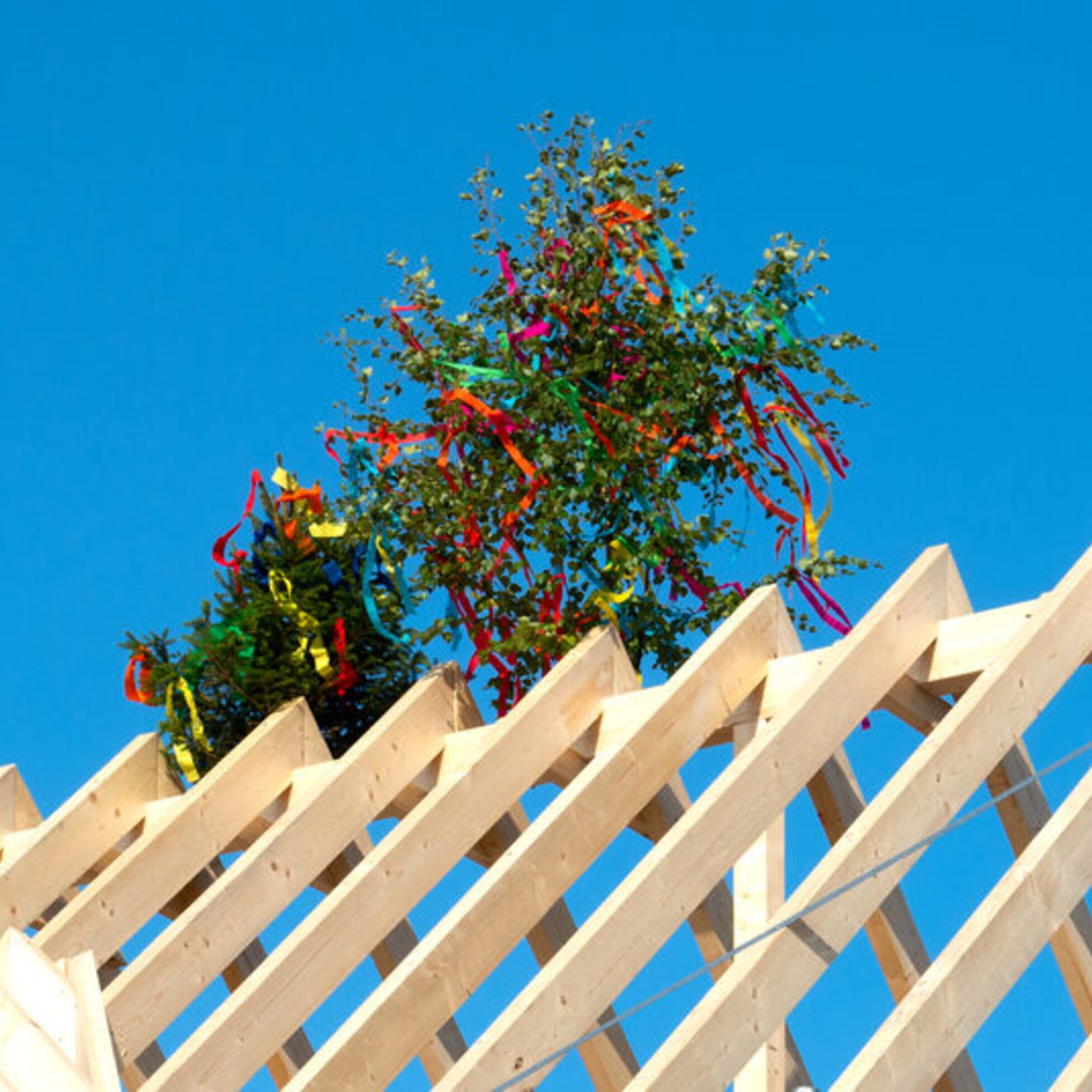 Richtbaum auf einem Dachstuhl